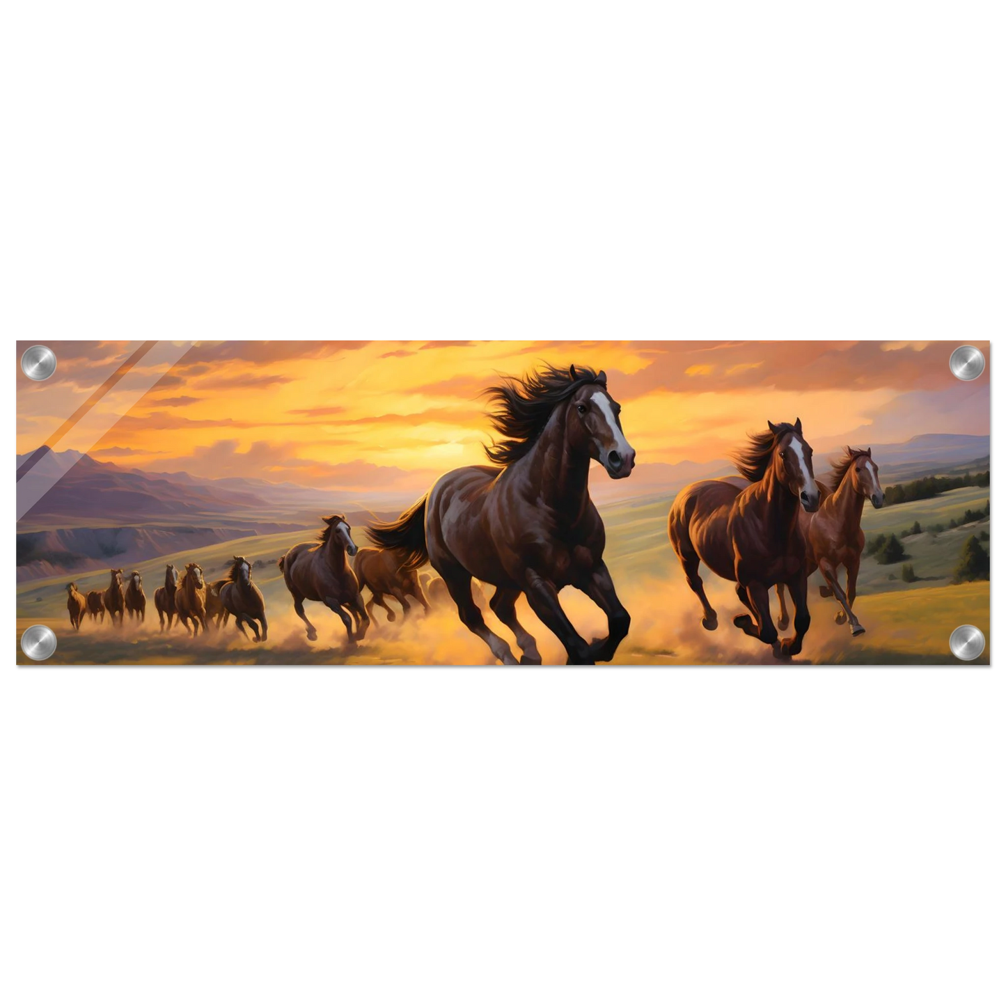 5e312247-2469-45b9-9fa6-28cbf4c5ff5f